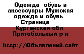 Одежда, обувь и аксессуары Мужская одежда и обувь - Страница 10 . Курганская обл.,Притобольный р-н